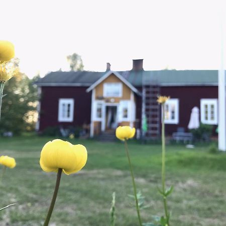 Paeivin Pirtti - Pirttikahvila Ja B&B Luosto Esterno foto