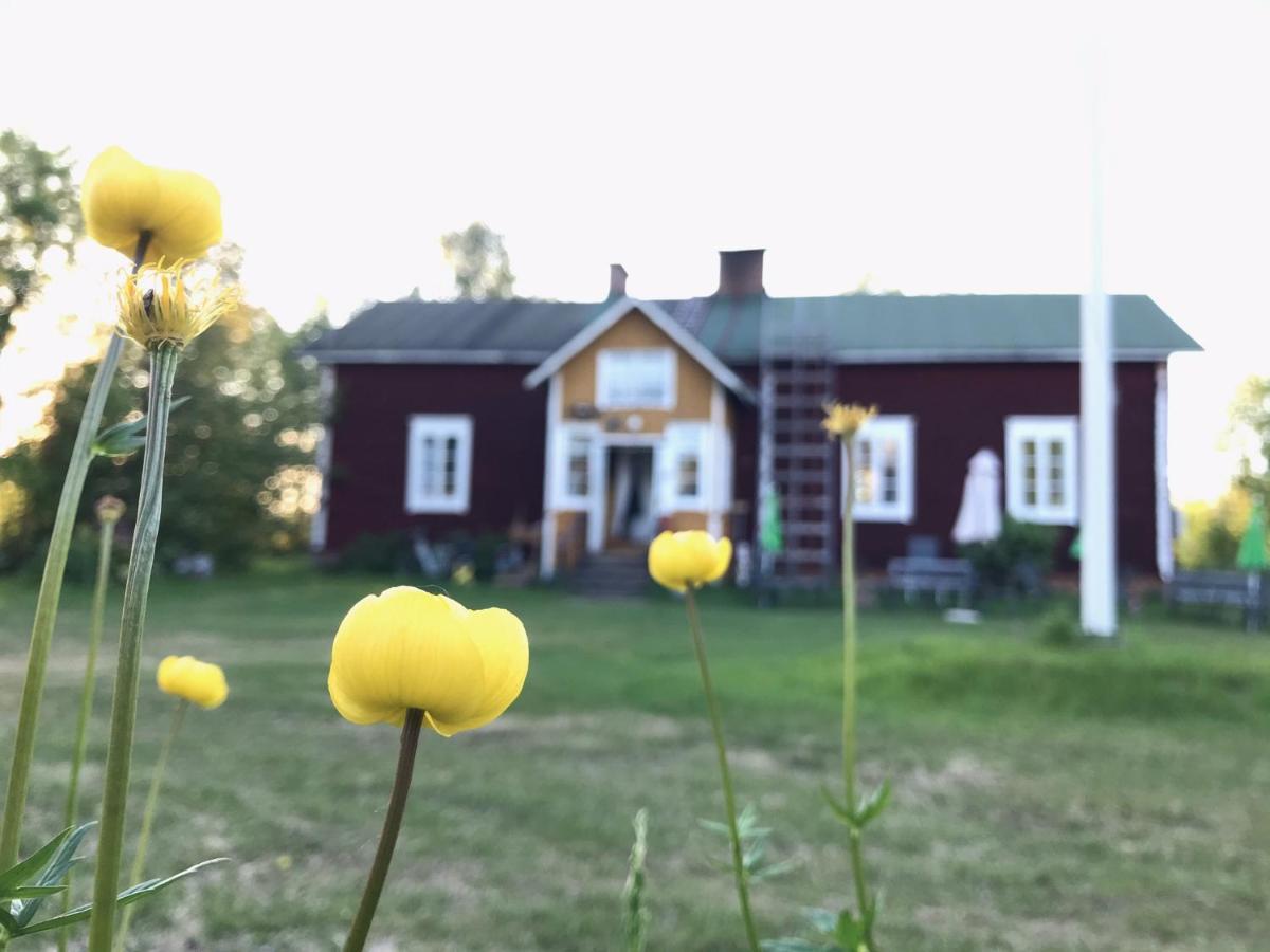 Paeivin Pirtti - Pirttikahvila Ja B&B Luosto Esterno foto